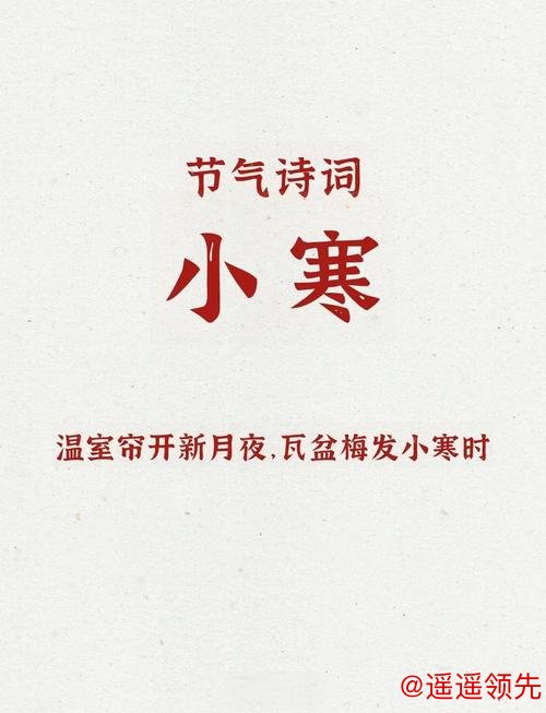 小寒：岁暮天寒，静待春归