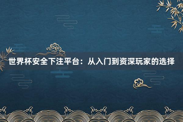 世界杯安全下注平台：从入门到资深玩家的选择